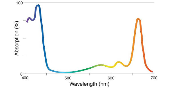Example of Output Spectrum for Absorption Spectroscopy