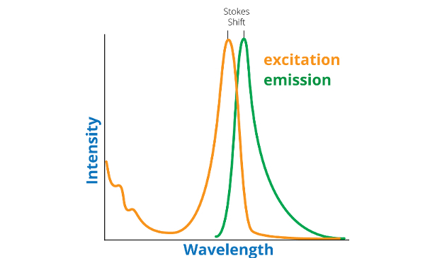 Example of Output Spectrum for Fluorescence Spectroscopy
